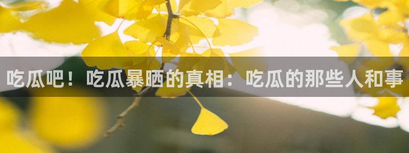 吃瓜今日更新