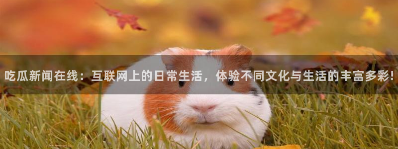 吃瓜后续进展