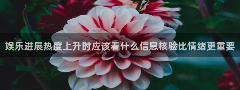 最新吃瓜来源梳理