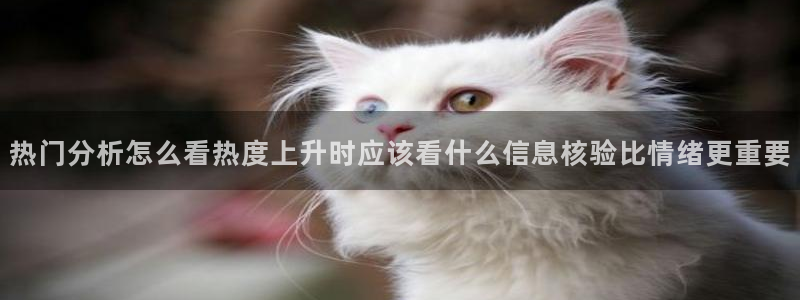 今日吃瓜