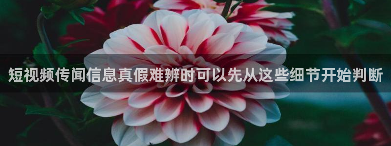 吃瓜爆料完整时间线