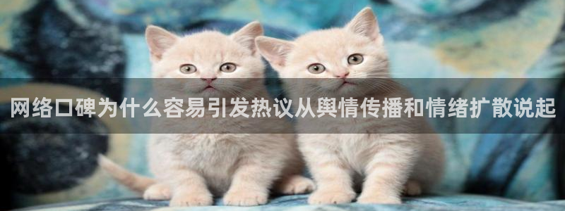 网络热点公开回应