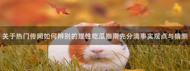 网红吃瓜公开回应