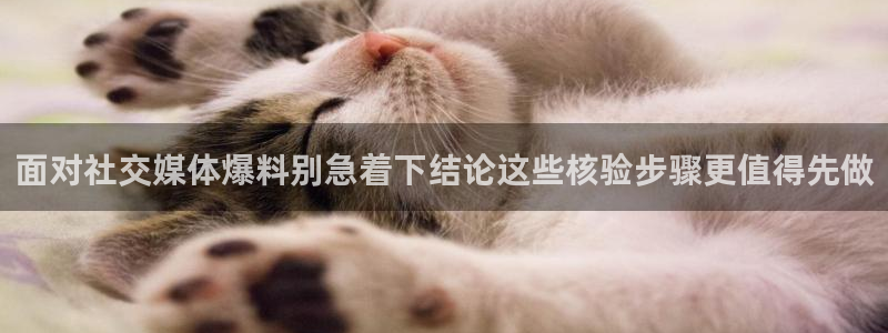 吃瓜信息核验