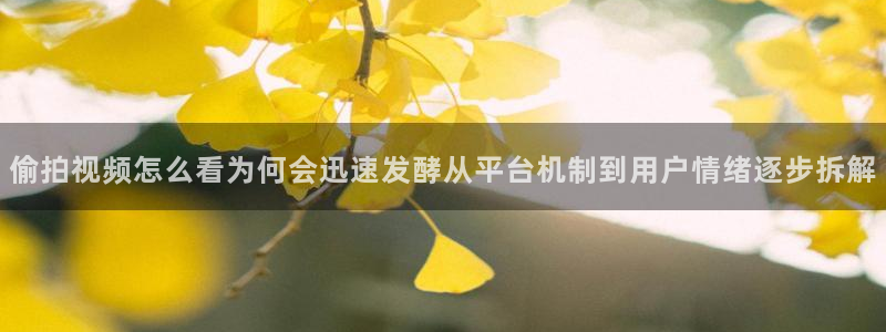 职场热点最新消息