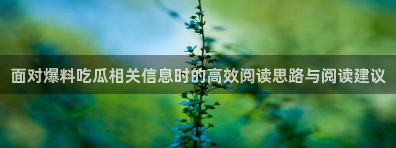 网红吃瓜后续进展