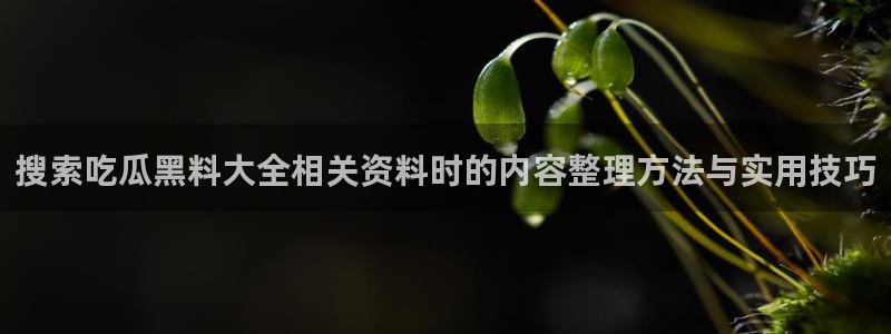 理性吃瓜信息核验