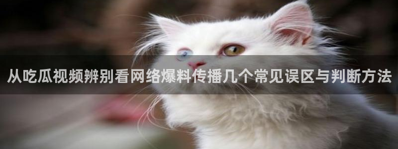 网络热点事件始末