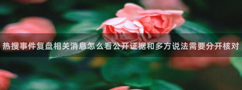 网络热点信息核验